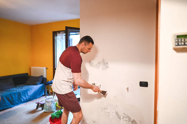 Best Mold Inspection  in Columbia, IL